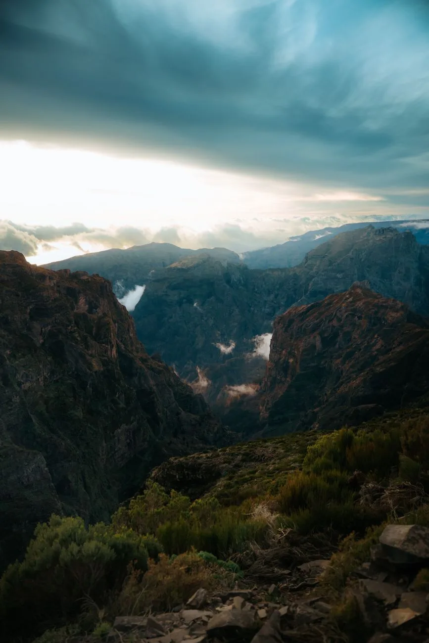 Levada walk — sentier în pădurea de lauri