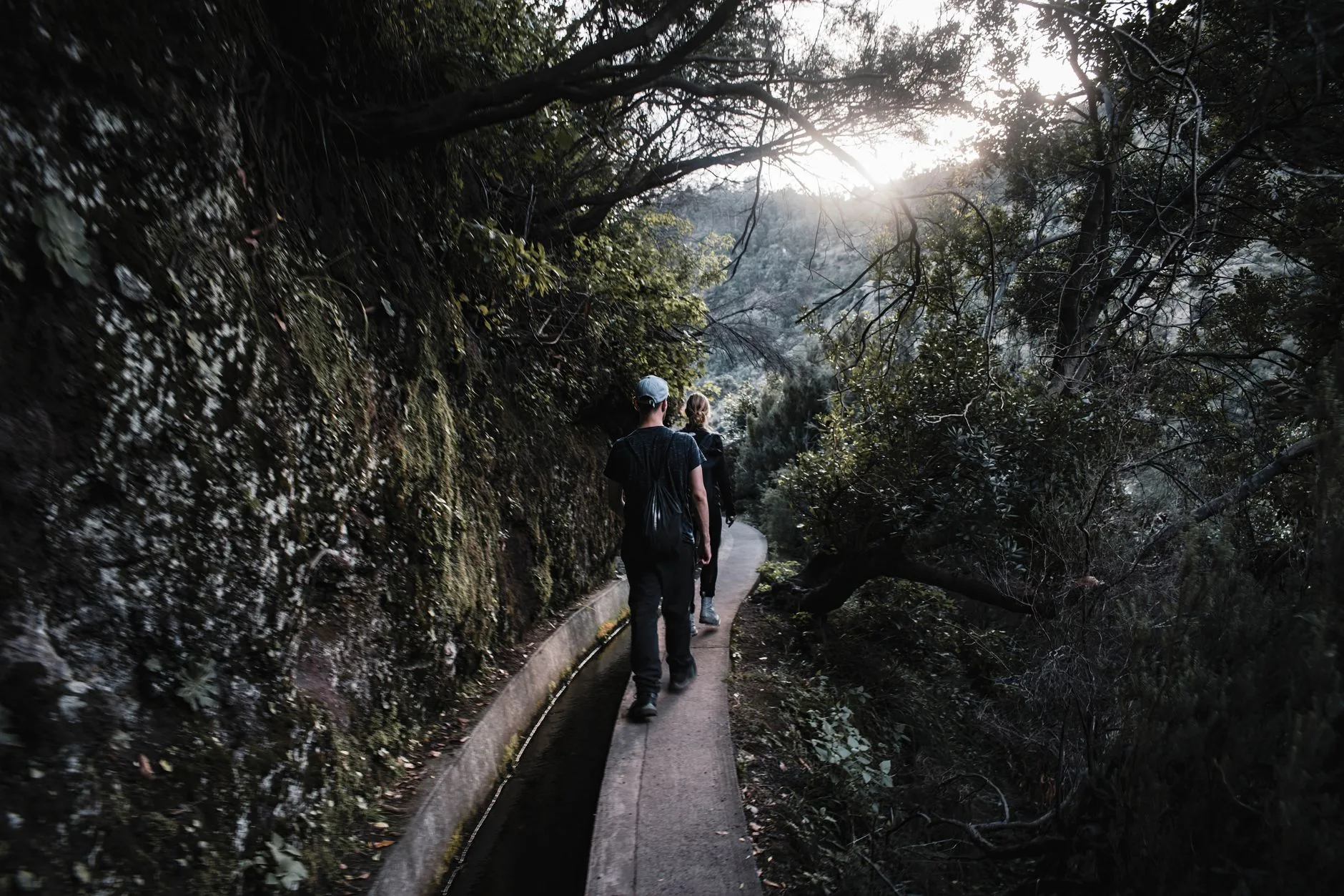 Levada — sentier în pădurea de lauri